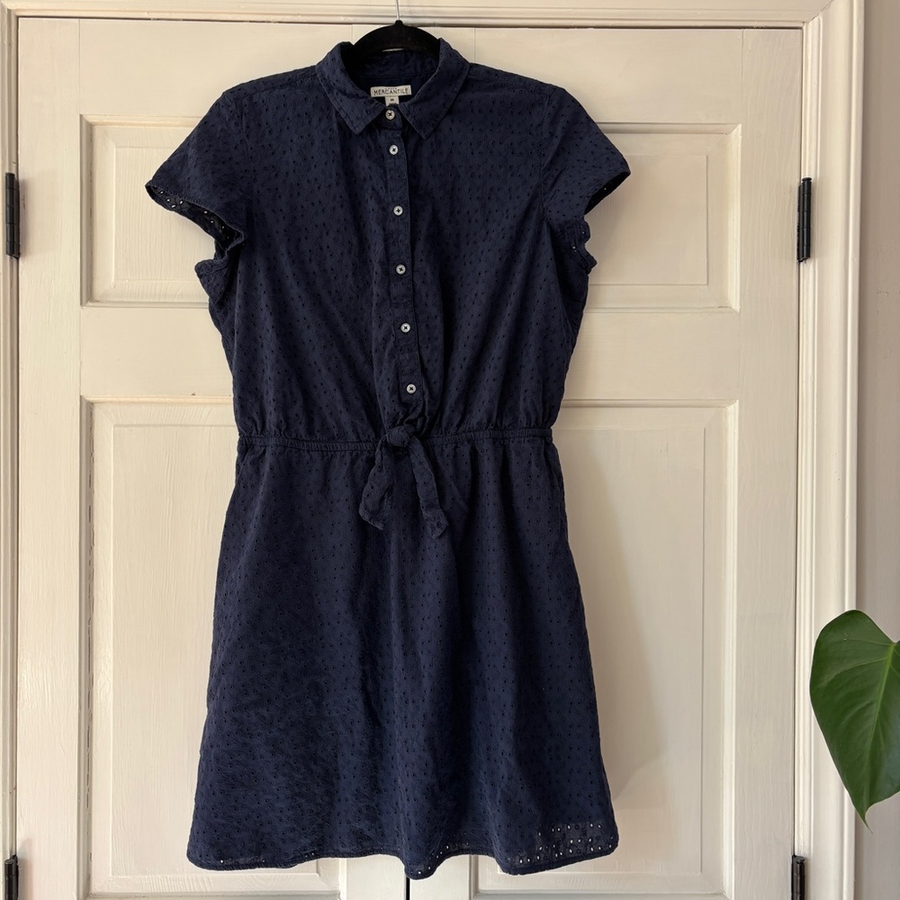 J. Crew Mercantile Eyelet Collared Tie-Front Dress Fit & Flare Blue Size Medium - Picture 5 of 14